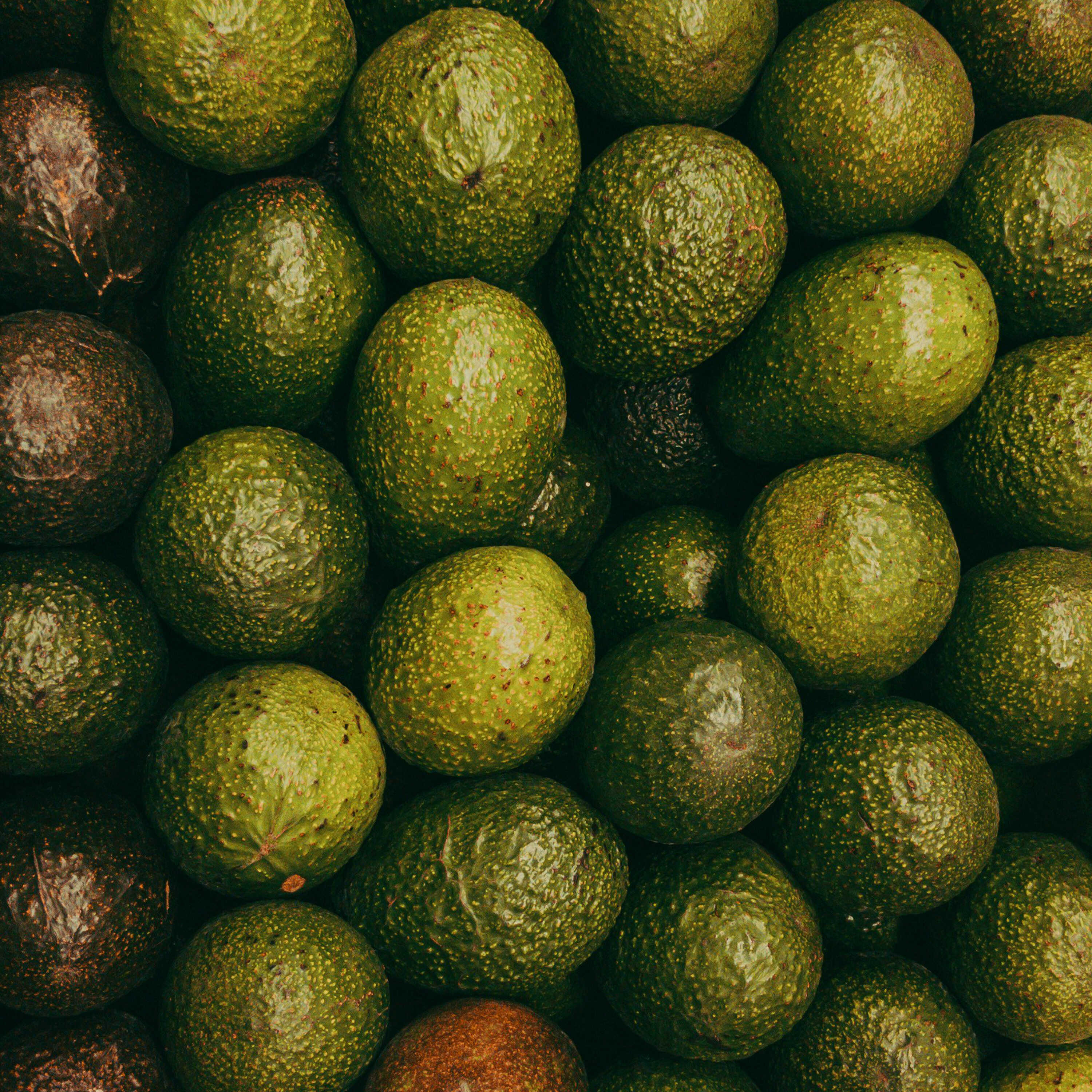 Avocado