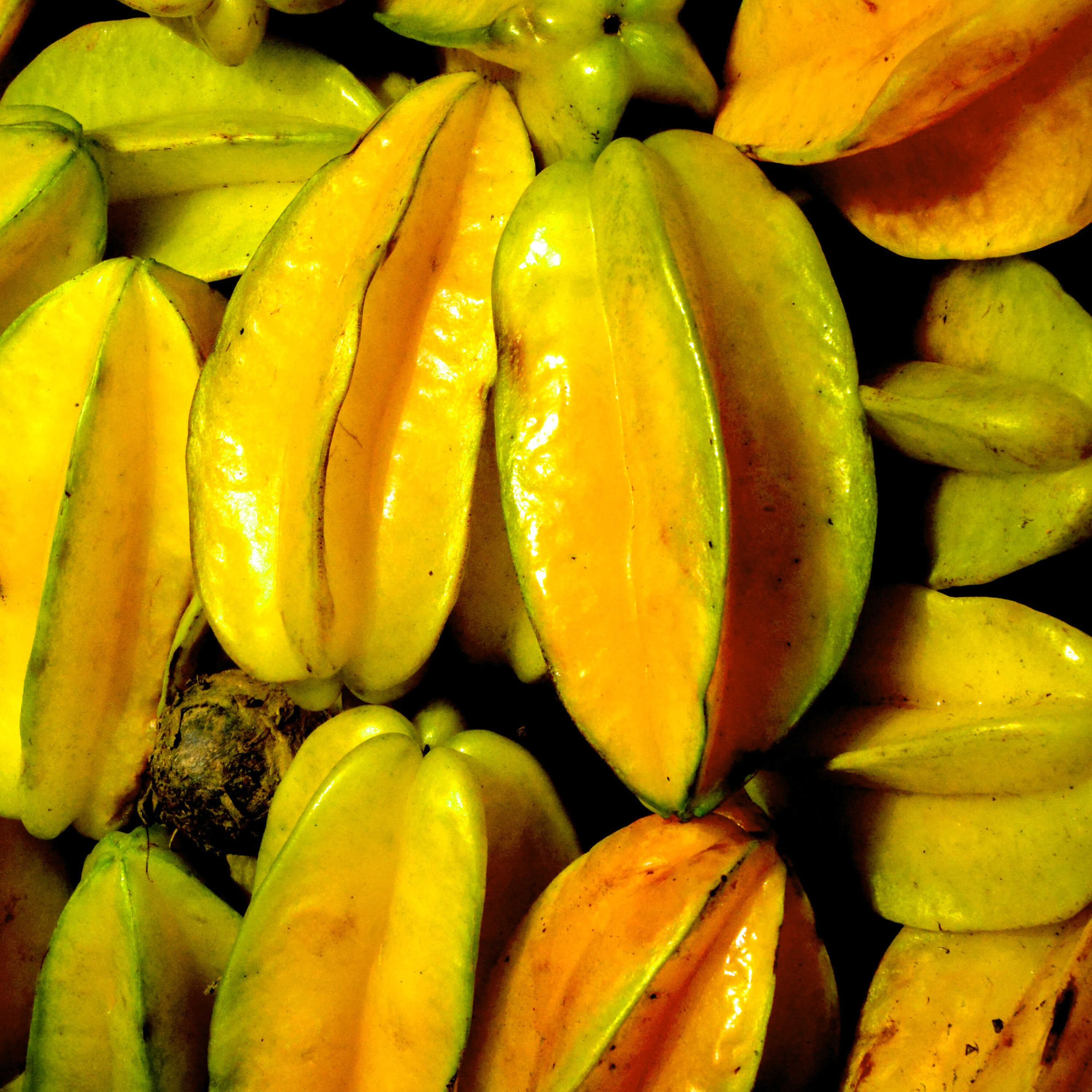 Carambola