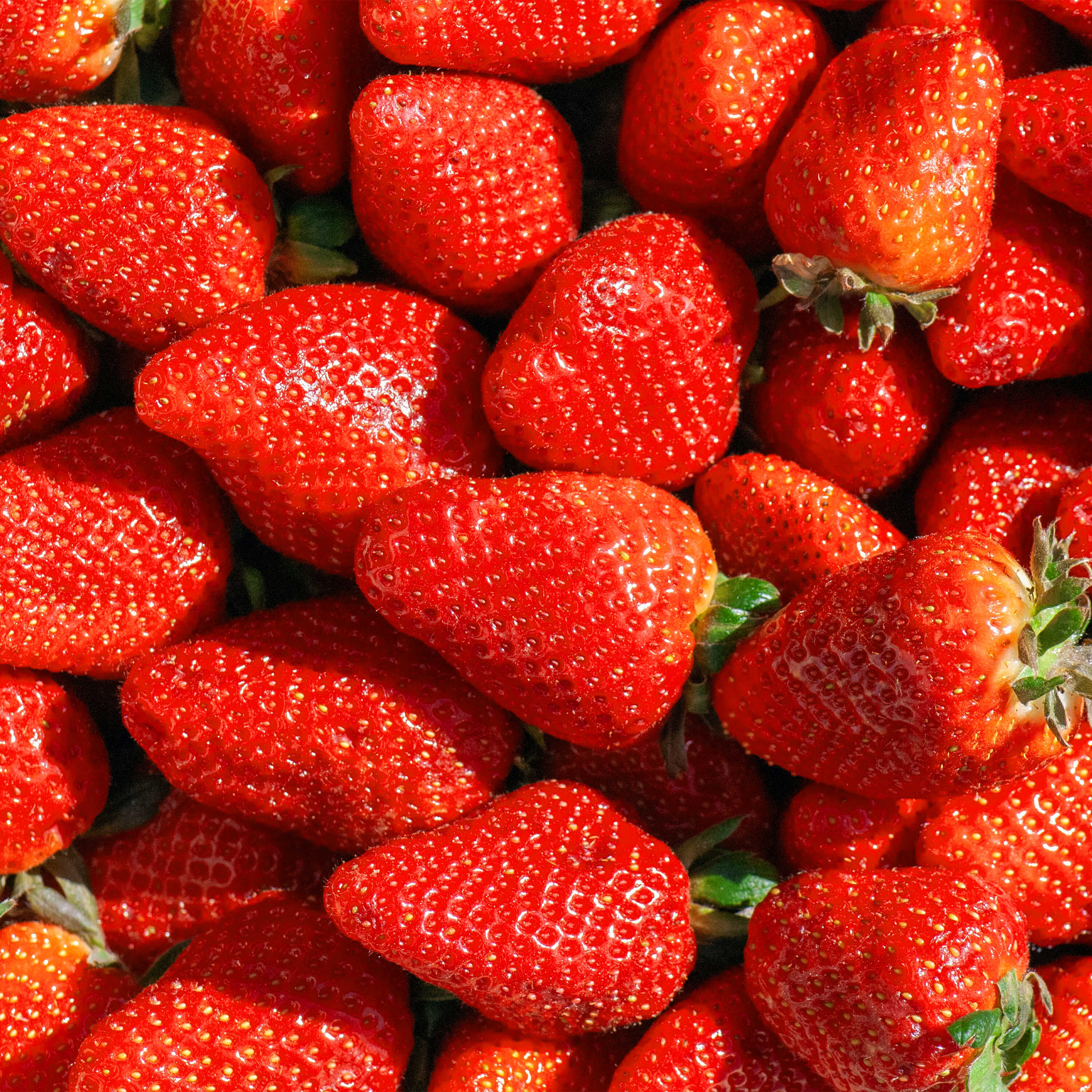 Fragole