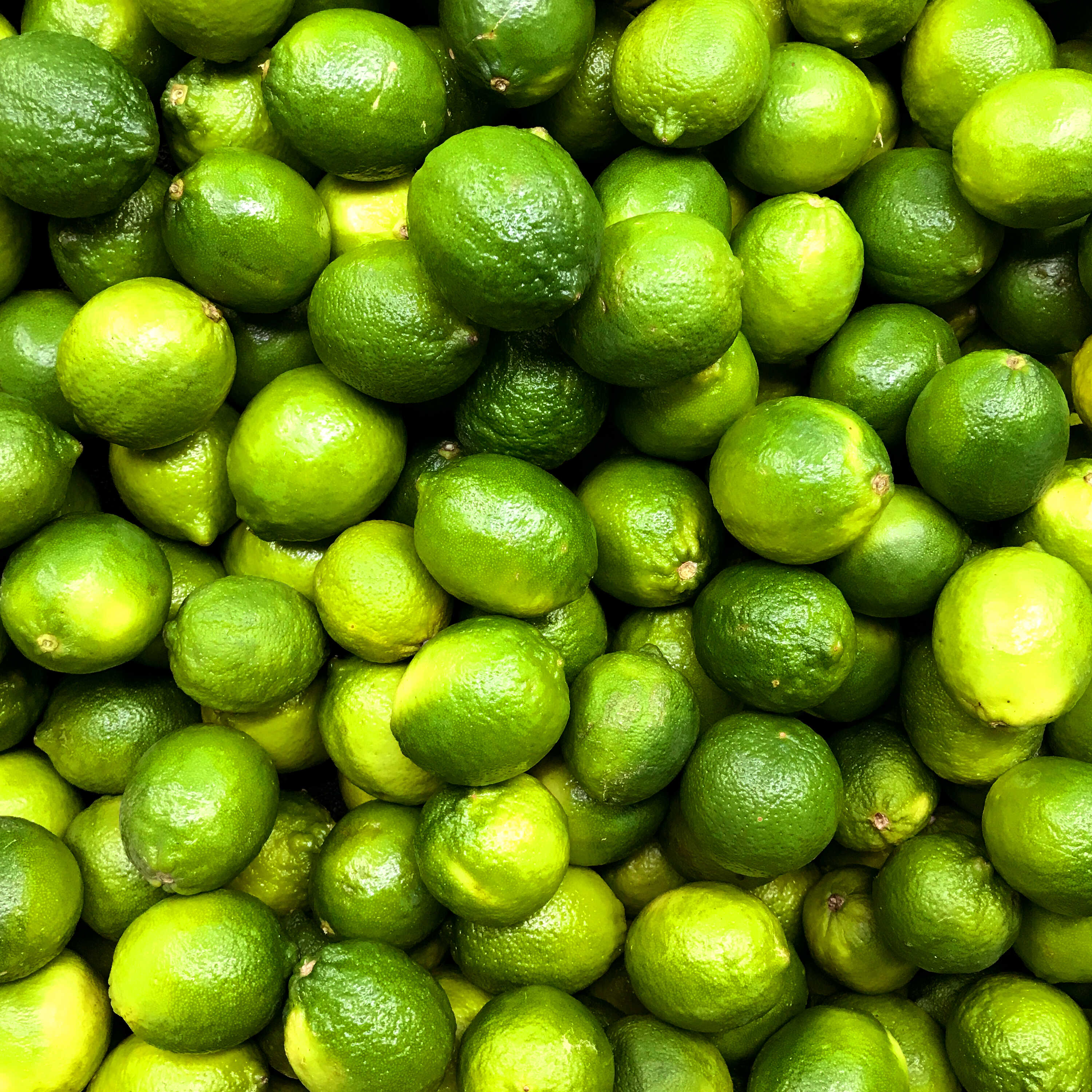 Lime