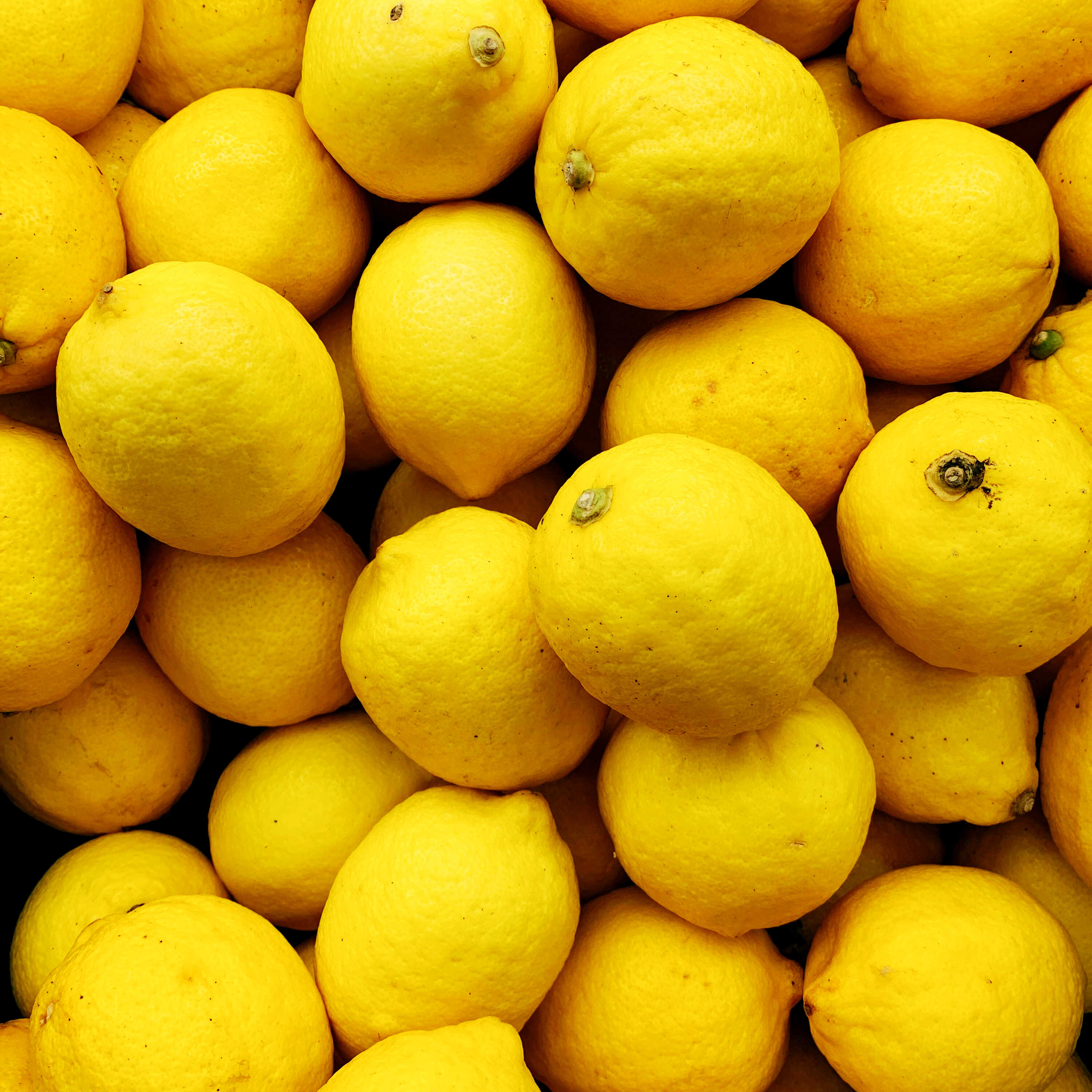 Limoni