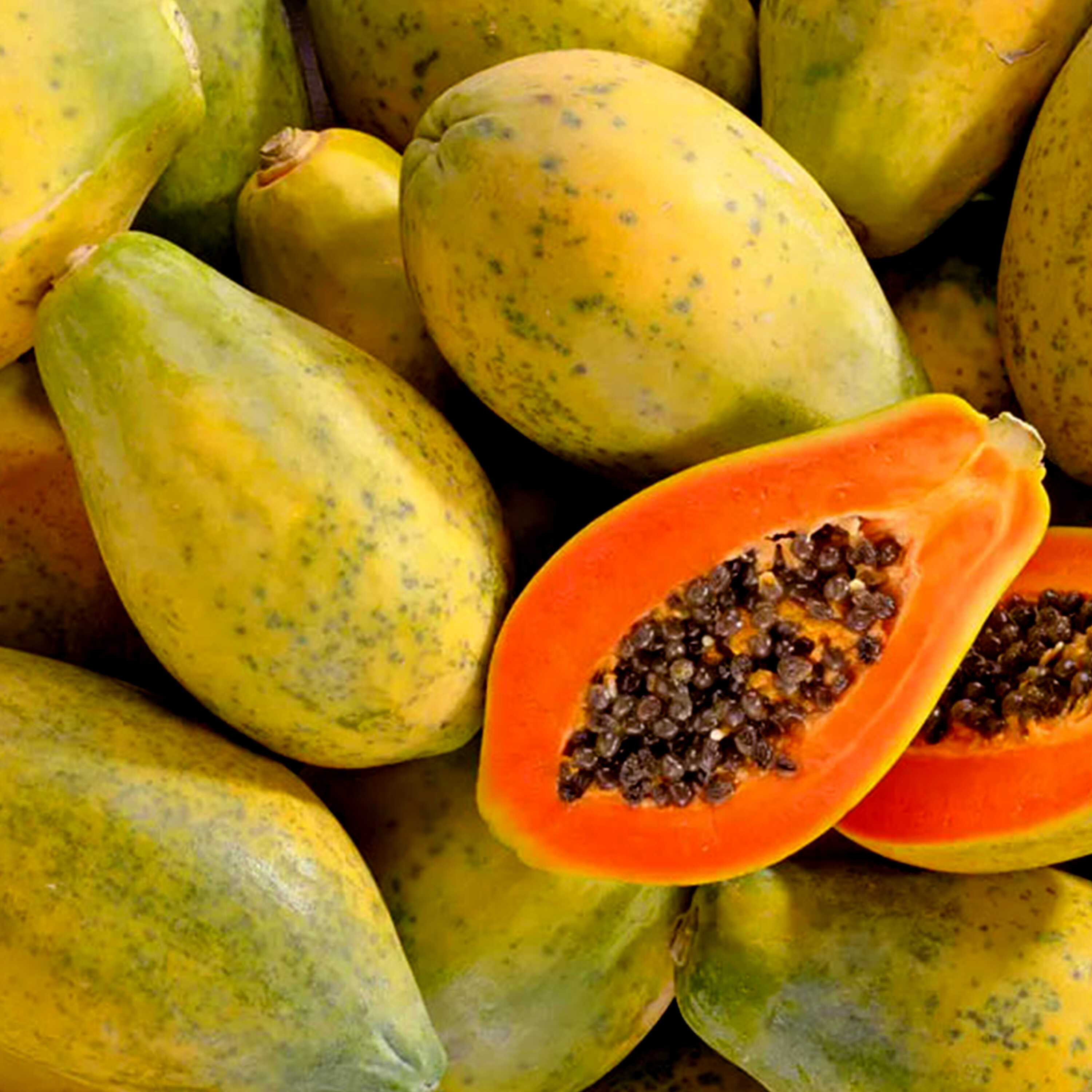 Papaya