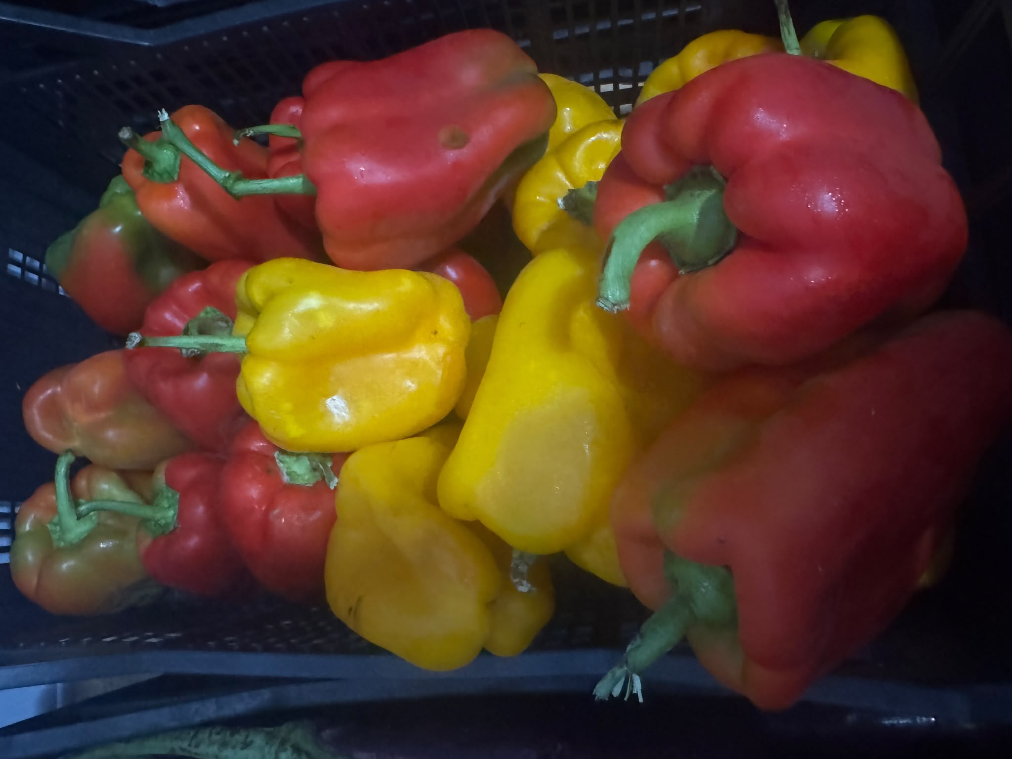 peperoni