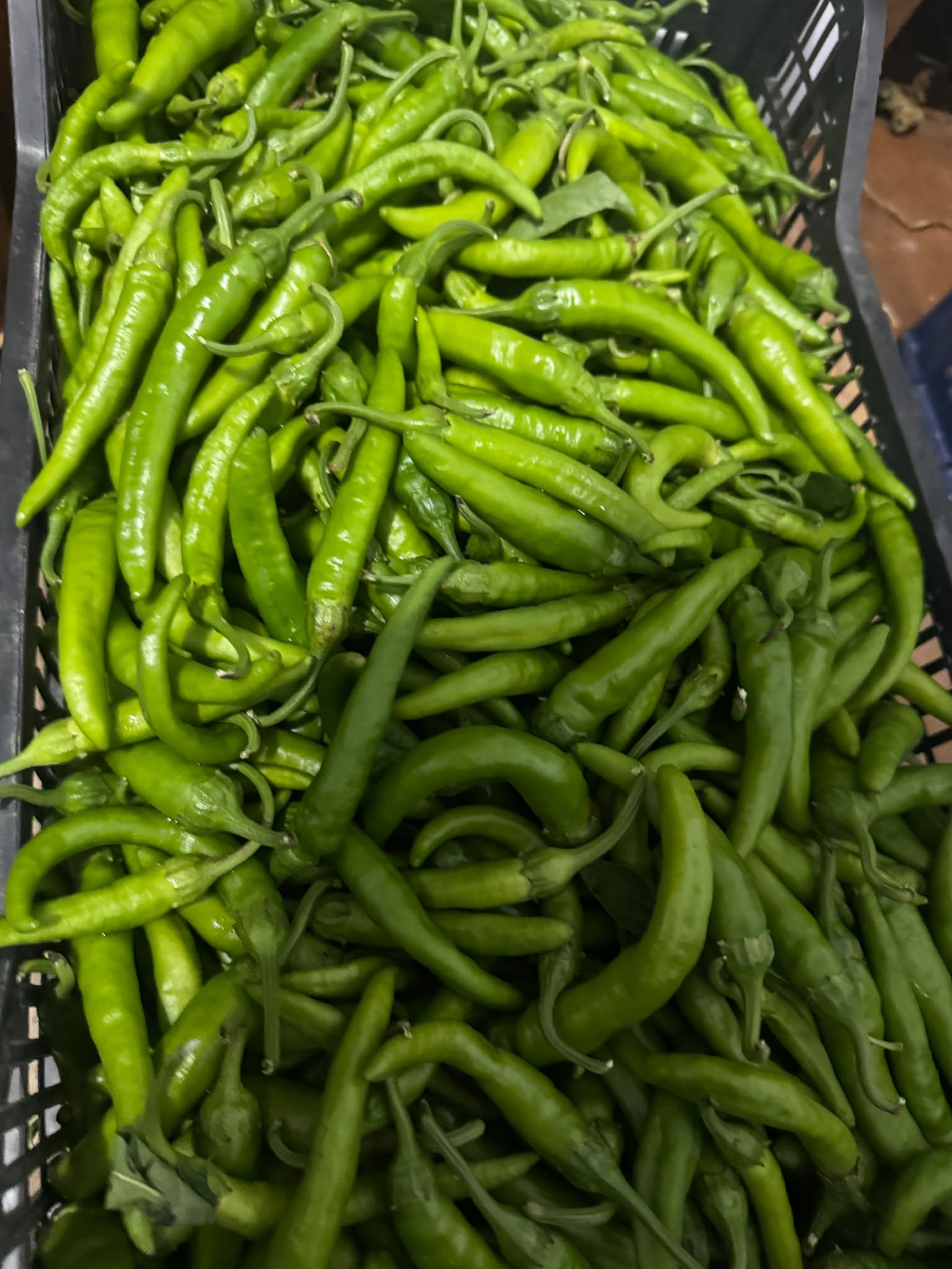 peperoncini verdi
