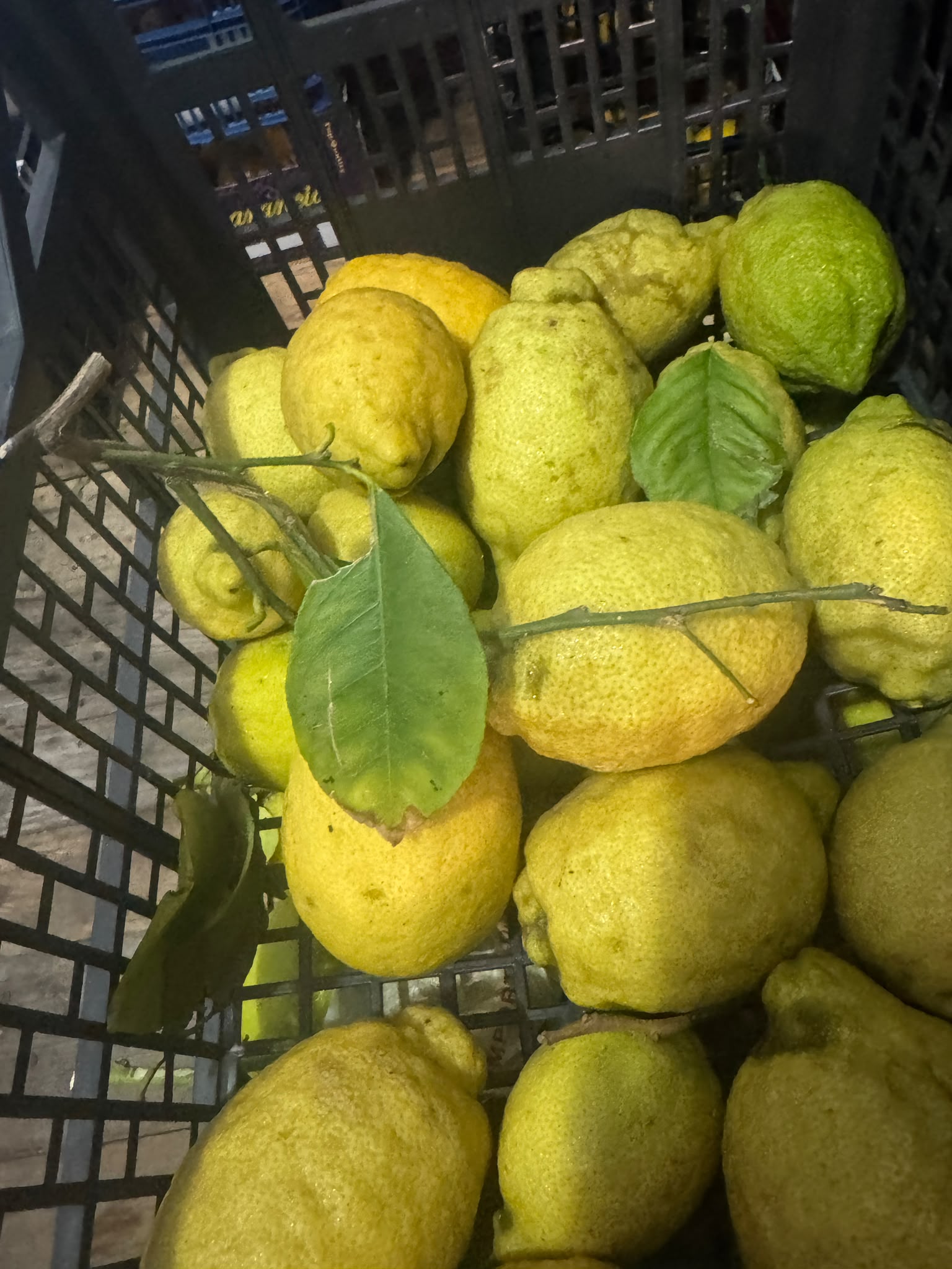 limoni