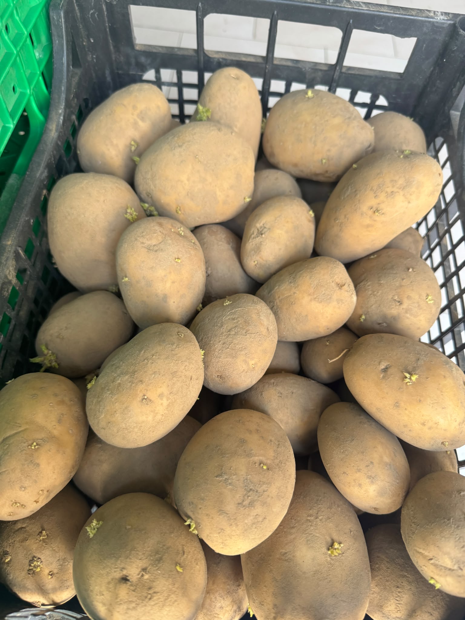 patate 3kg 